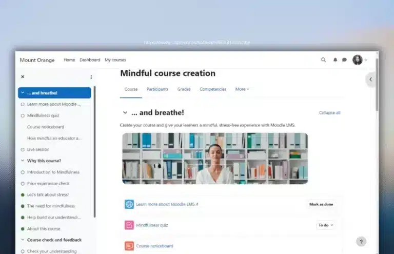 Moodle IT